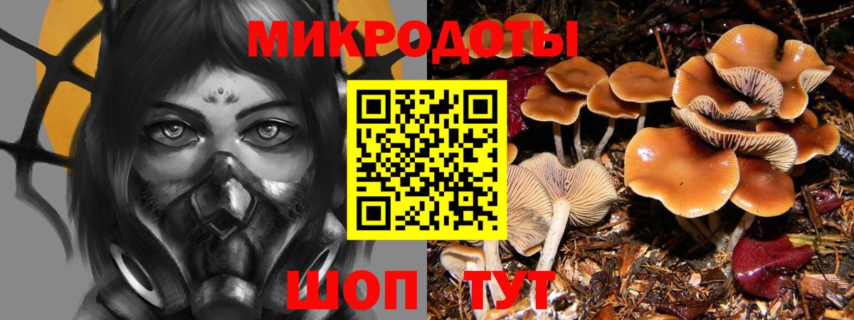 Галлюциногенные грибы GOLDEN TEACHER Королёв
