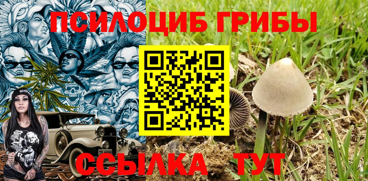 Королёв  Галлюциногенные грибы Psilocybine cubensis  Вход с VPN  купить закладку  Галлюциногенные грибы Magic Shrooms 